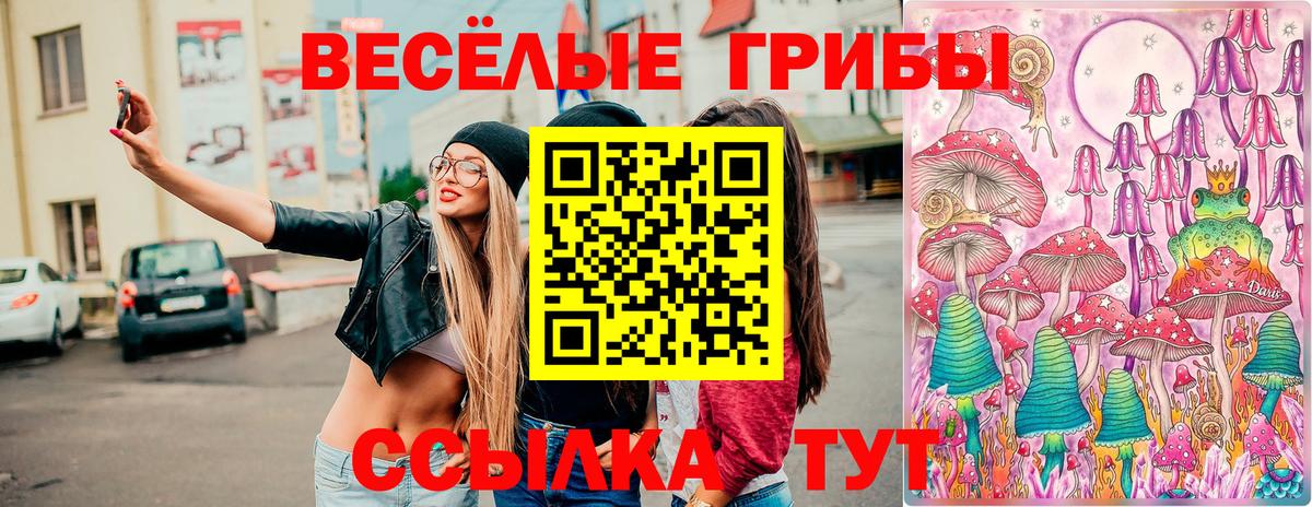 Родники  Псилоцибиновые грибы MAGIC MUSHROOMS  Вход с VPN 