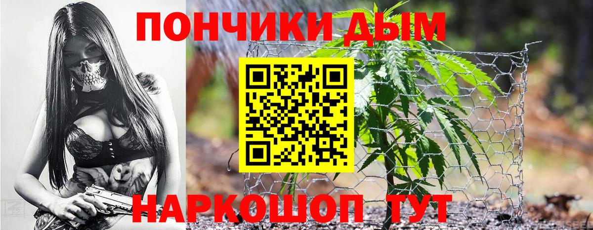 Бошки Шишки сатива Родники
